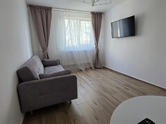 Petre Ispirescu, Sebastian, 10 minute de Unirii 55000 euro